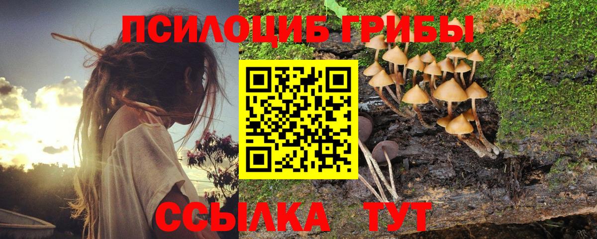 Лсд 25  Вход с VPN  МАРИХУАНА  Гурьевск  Мефедрон   MDMA  ГАШИШ  Меф МЯУ МЯУ  КОКАИН  МЕТ 