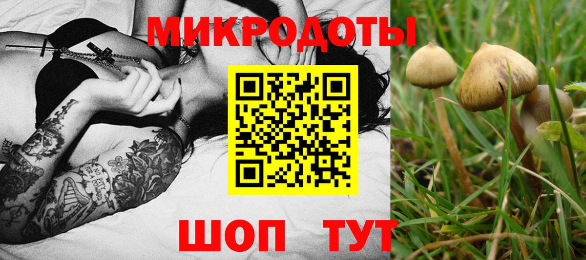Гурьевск  Галлюциногенные грибы Magic Shrooms  Галлюциногенные грибы мухоморы  Вход с VPN 